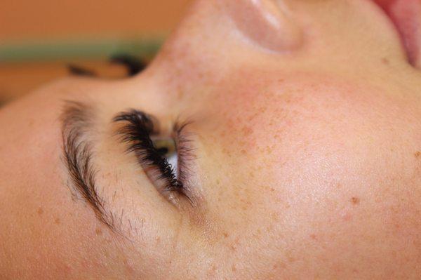 Volume lashes