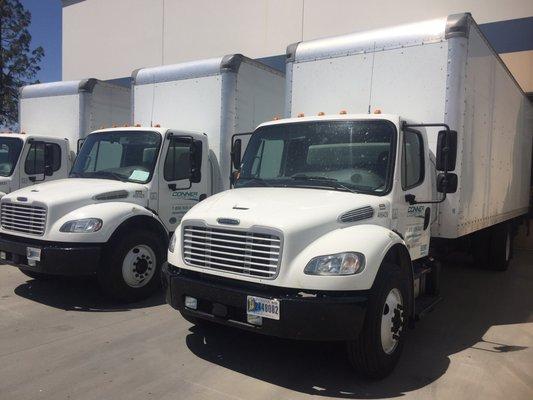 Freight delivery trucks