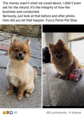 Fuzzy Pants Pet Stop