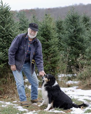 Winterberry Christmas Tree Farm