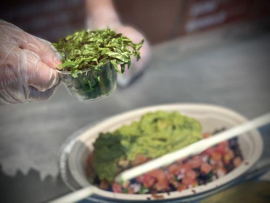 Yummy cilantro!