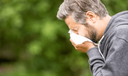 Seasonal Allergy Relief