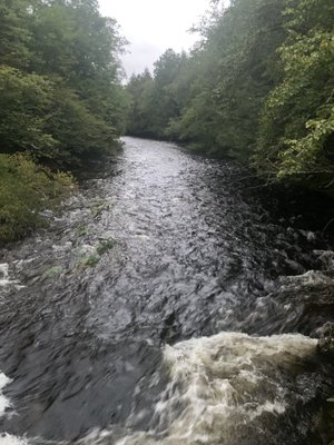 Willowemoc River flows through the campground