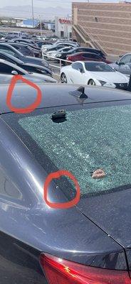 Rocks thrown from a neighboring Party Hall's landscaping causing several dents, scratches and a broken rear window.