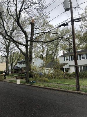 Storm damage clean up-Same day Service!