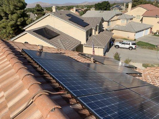 Solar Panel Bird Proofing