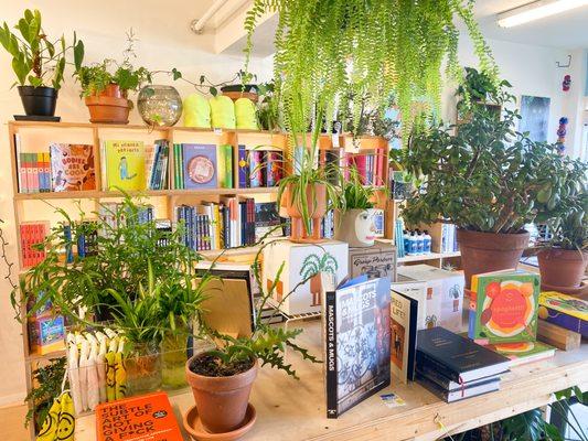 Nico Scout is a fun retail store offering arts & culture products, creative books, and houseplants.