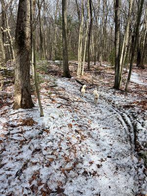 Hiking trails