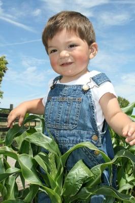 Noah outstanding in his field!