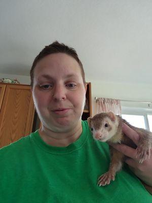 A ferret that I pet sit.