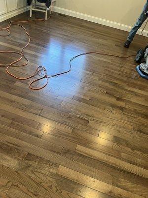 Hardwood Floor Cleaning