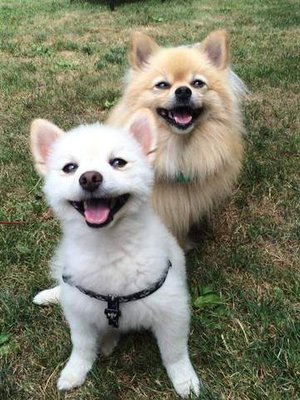 Olaf and Anya smiling for the camera!