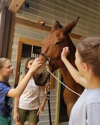 Kids can experience nature and animals at Austin Craft Lounge.