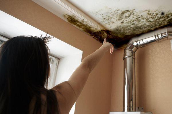 Minneapolis Water Damage Specialist 24/7-MN Mold & Fire Remediation