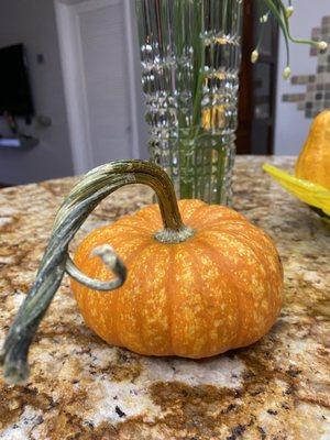 Fall pumpkins