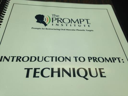 PROMPT TRAINING