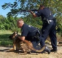 Very social and effective patrol dogs