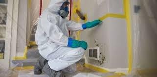 Mold Remediation