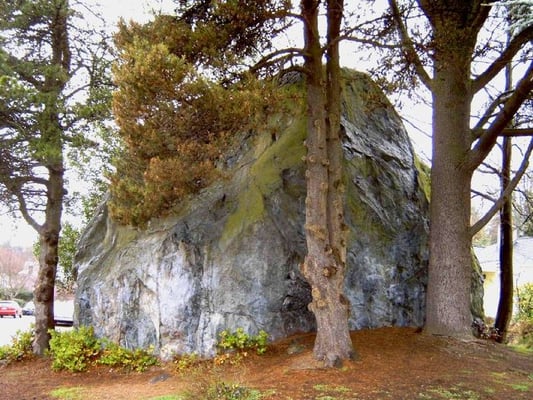 Wedgwood Rock