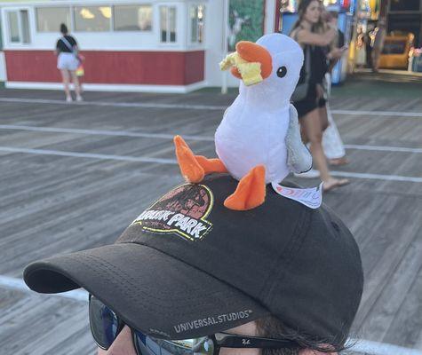 Magnetic Seagull for hats, shoulders, and your soul