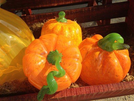 Hand Blown Glass Pumpkins by Zion Warne