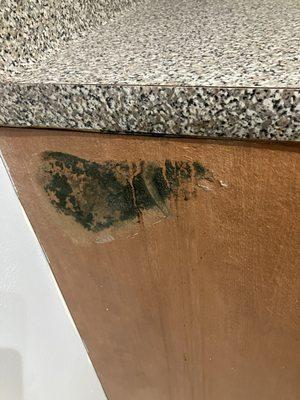 Mold I discovered in between stove and counter the following day after I paid to move in and prior to my cleaning it myself.