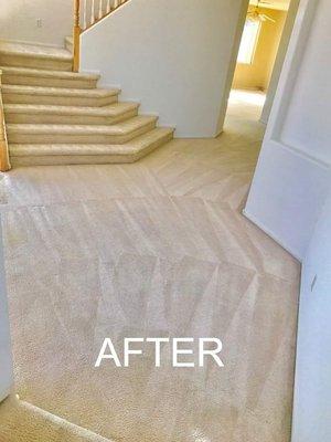 Spotless Carpets After Cleaning by Get Green Carpet Cleaning - Hartford CT