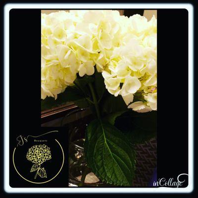 White hydrangeas