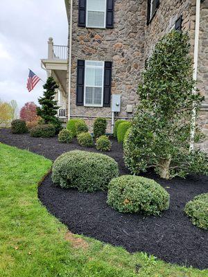 Trimming and mulch has been installed