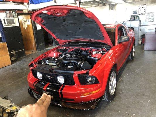 2006 Ford mustang customize it