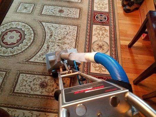 Oriental cleaning with Rotovac System, dries quickly!