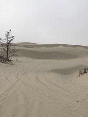 View as you come out of the 50 feet of good sand at the RV Park