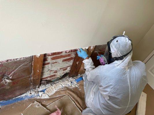 Mold remediation in process