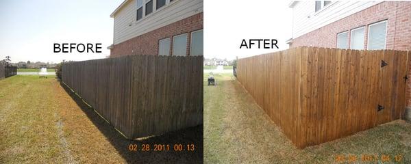 fence staining before and after