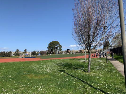 Soccer Field