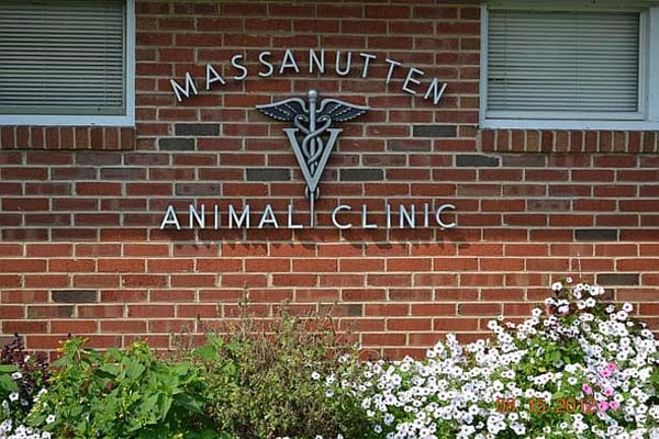 Massanutten Animal Clinic