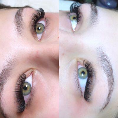 Volume lashes