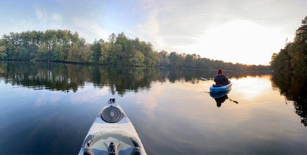 Belleplain State Forest