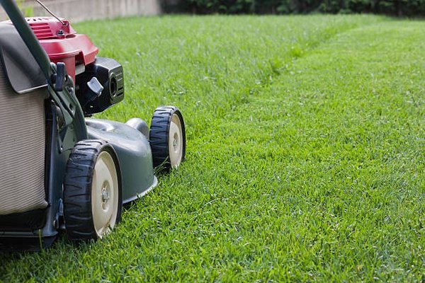 We offer high quality Lawn services you will not be disappointed with!