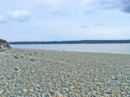 The rocky shore off of our satellite office on the Key Peninsula.