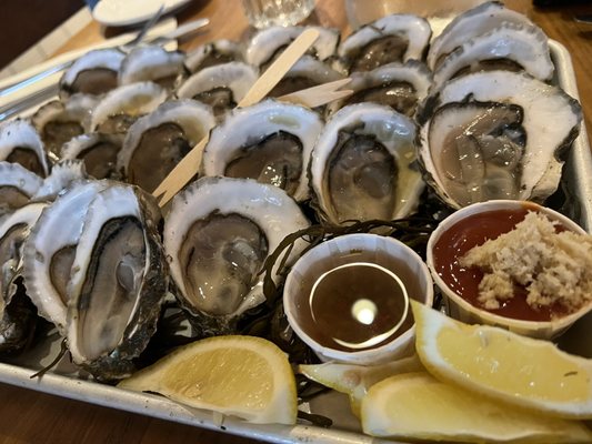 Oysters!!