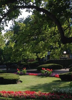 The garden just east of the buildings.