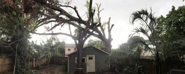 This tree fell across the garage and landed on another two trees!