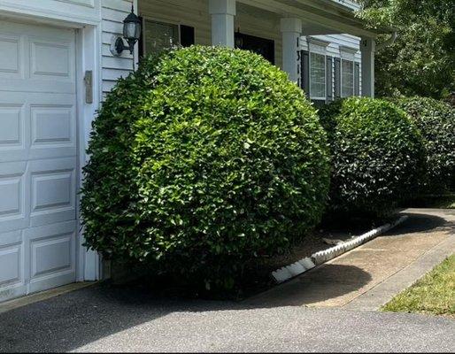 Ch Landscaping Services