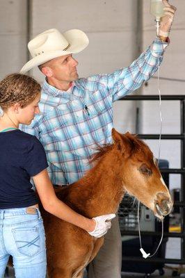 East Valley Equine Practice PC