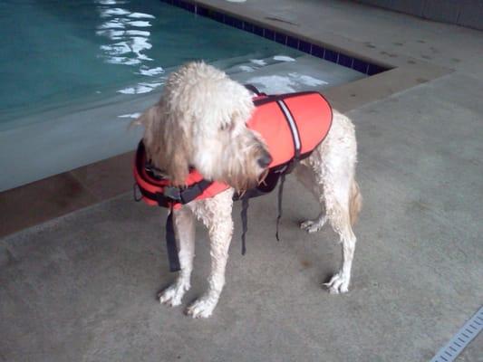 Swim lessons at Barkside!