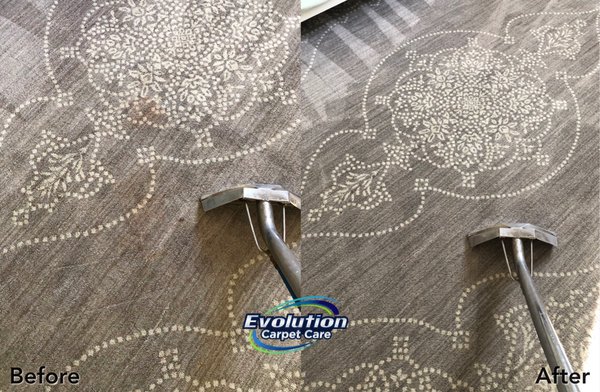 Area rug cleaning to remove vomit which was achieved. Customer was very happy!