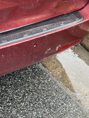 Sorry ass driver from green sedan fell asleep in hit 2 parked cars than not answering the phone for her own insurance.