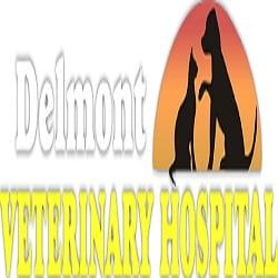 Delmont Veterinary Hospital