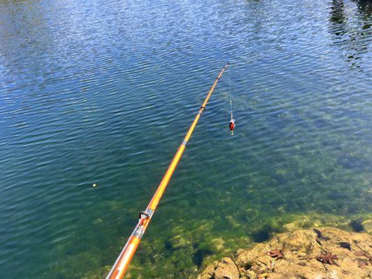 Clear water, great fishing